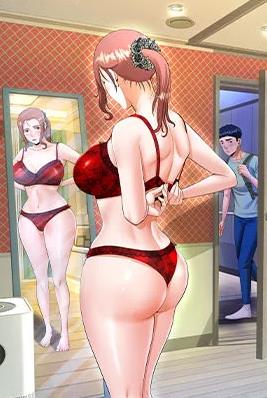 钢之炼金术师 封面